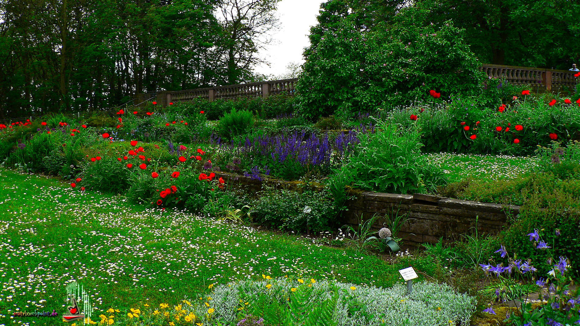 GARTENANLAGE ROSENHÖHE