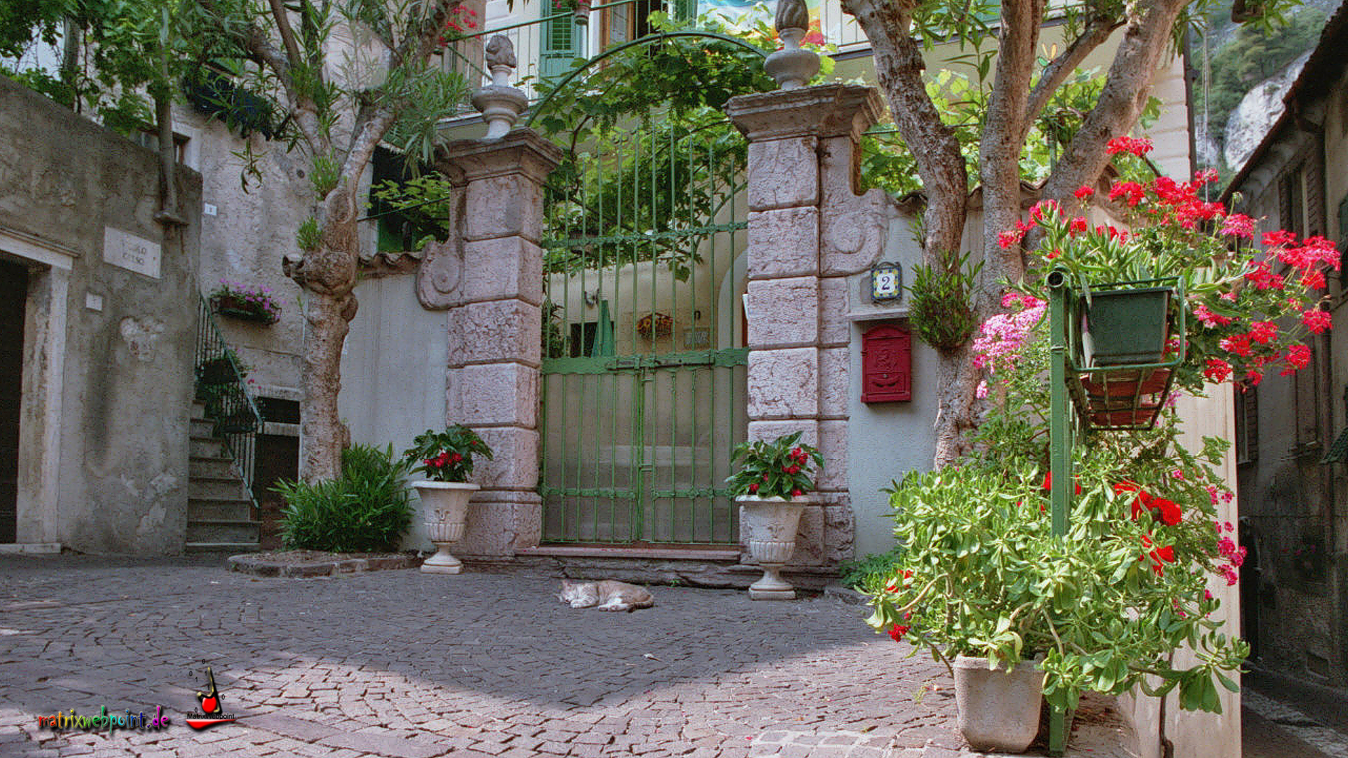 Vorplatz mit Katze